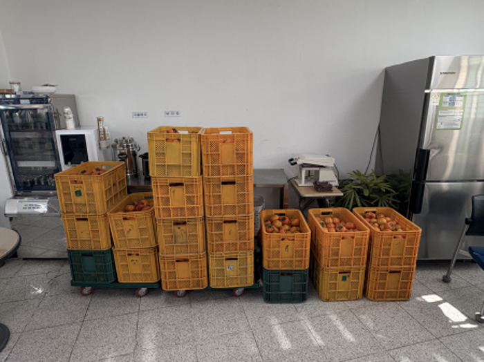 진영경 후원자님 감사합니다!